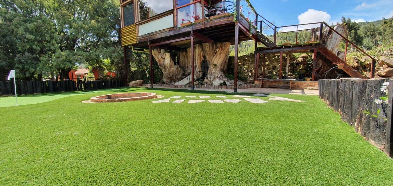 Вілла Casa En El Arbol Суеска Екстер'єр фото