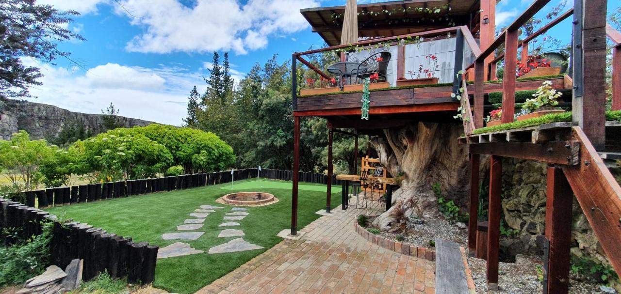 Вілла Casa En El Arbol Суеска Екстер'єр фото
