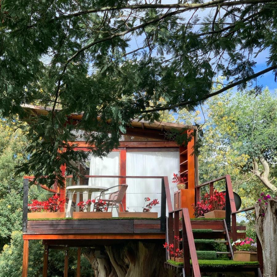 Вілла Casa En El Arbol Суеска Екстер'єр фото
