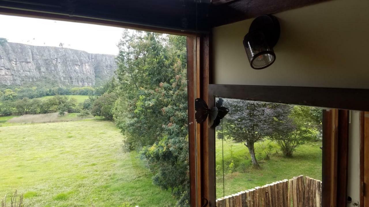 Вілла Casa En El Arbol Суеска Екстер'єр фото